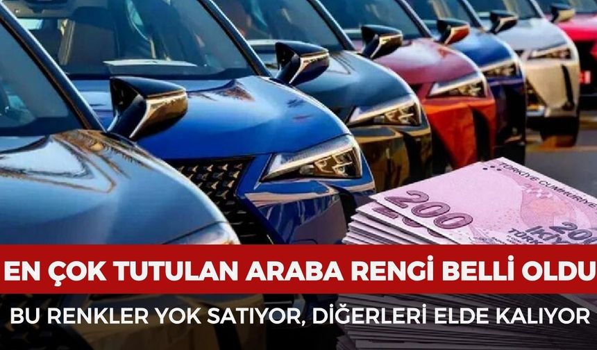 TÜİK açıkladı: Türkiye’de en çok tercih edilen otomobil rengi belli oldu