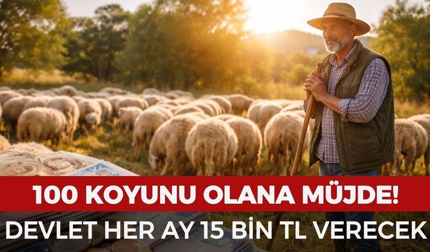 100 koyunu olana müjde! Devlet aylık 15 bin TL verecek
