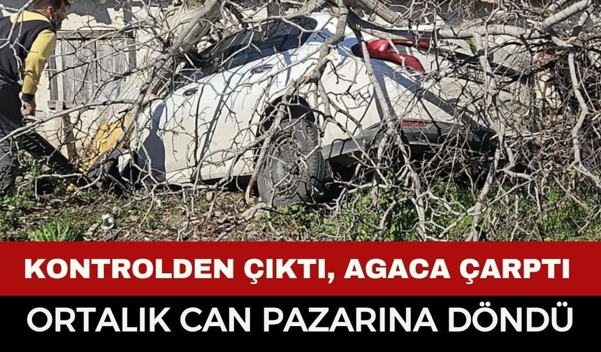 Feci Kaza: Otomobil Ağaçlara Çarptı, 2 Kişi Hayatını Kaybetti