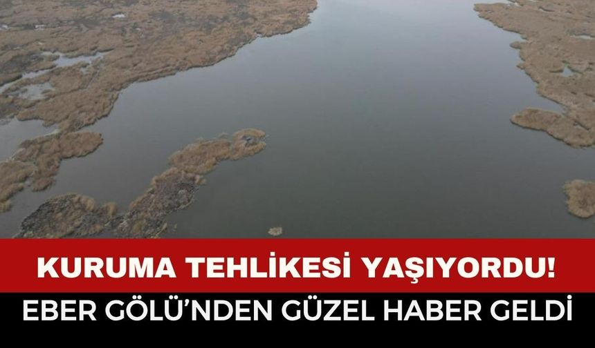 Kuruma Tehlikesi Yaşıyordu! Eber Gölü’nden Gelen Haber Herkesi Sevindirdi