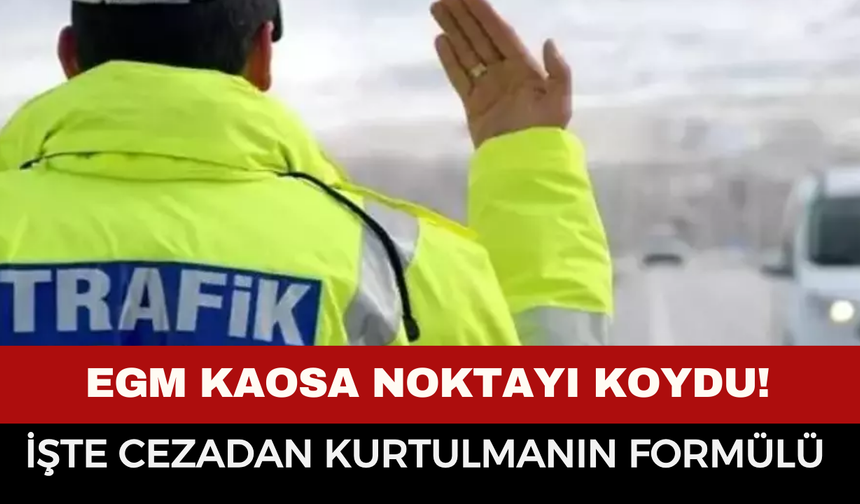 Milyonlarca Sürücü Kuyrukta! Emniyet’ten Kritik "APP Plaka" Rehberi: İşte Adım Adım Yapmanız Gerekenler!