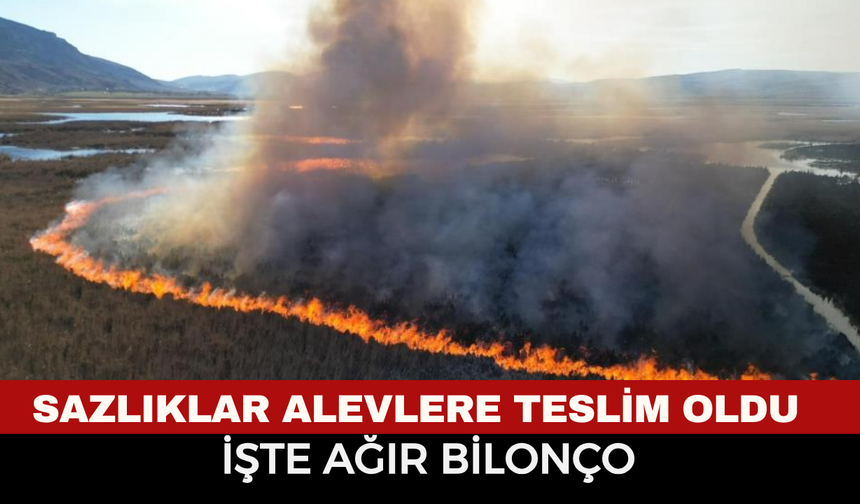 Afyonkarahisar’da Göldeki Adacıklarda Yangın