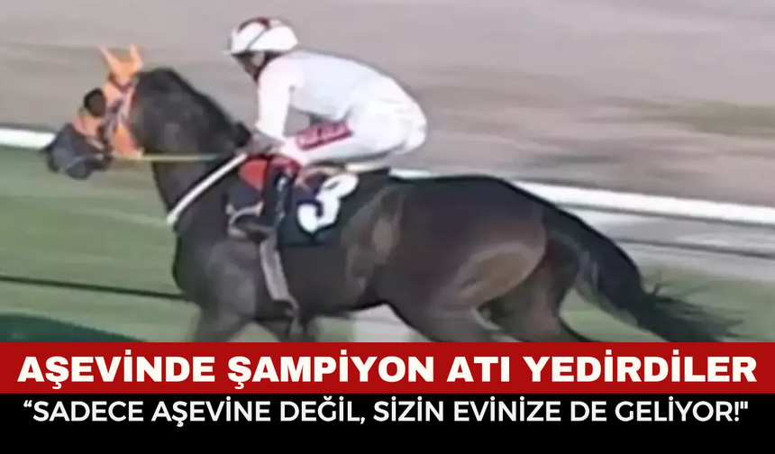 Mersin’de "At Eti" Tartışmasında Şok Sözler! Başkan Seçer: "Sadece Bizim Aşevine Değil, Sizin Evinize De Geliyor!"