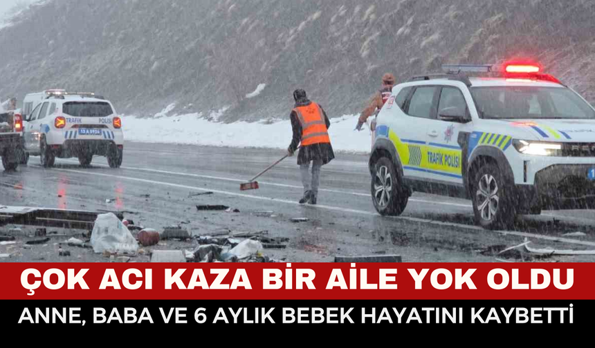 Feci Kaza Bir Aileyi Yok Etti: Anne, Baba ve 6 Aylık Bebek Hayatını Kaybetti