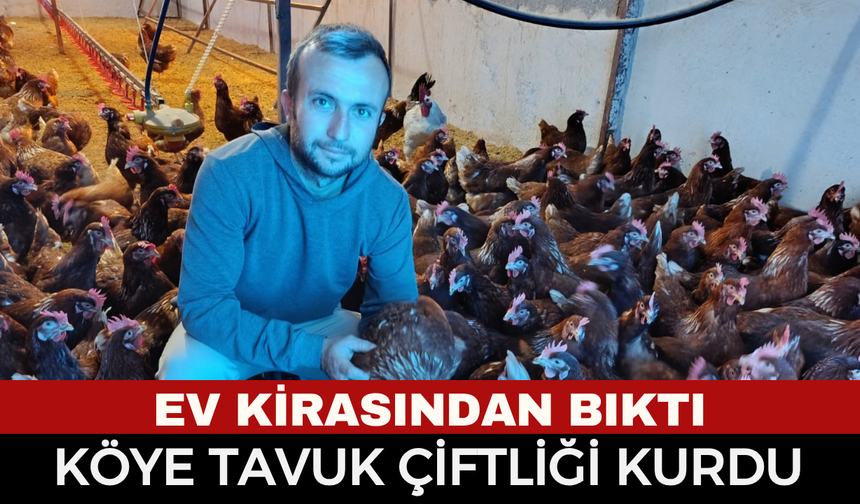 Ev Kiraları Genç Girişimciyi Köye Döndürdü: "Gezen Tavuk" Çiftliğiyle Yeni Hayat