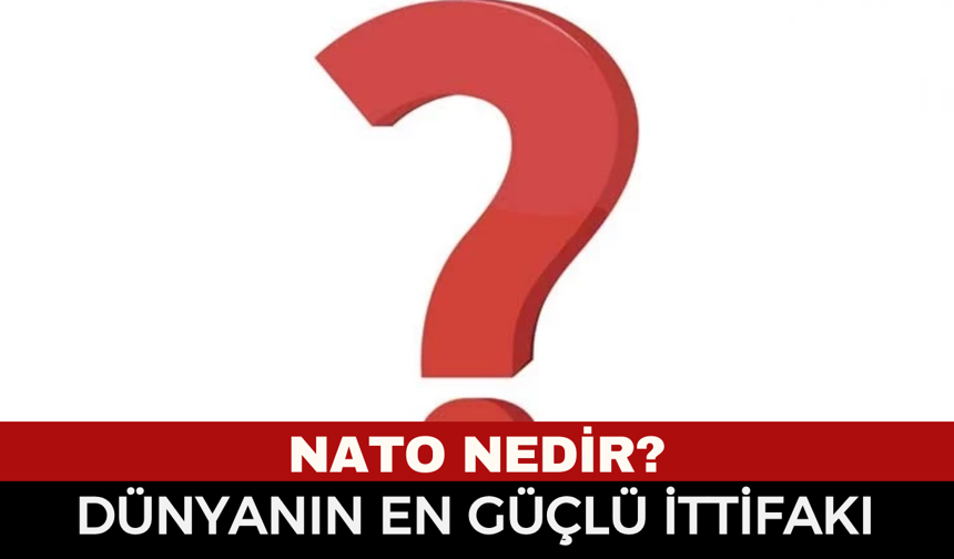 NATO Nedir, Ne Zaman Kuruldu? NATO Üyesi Ülkeler Hangileri? Madde 5 Nedir, Neden Bu Kadar Kritik?
