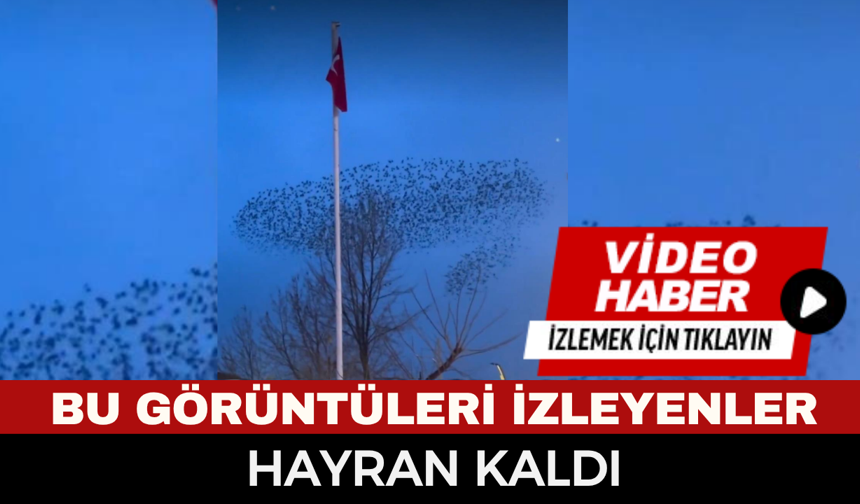 Kuşların Türk Bayrağı Çevresindeki Dansı Sosyal Medyayı Salladı!