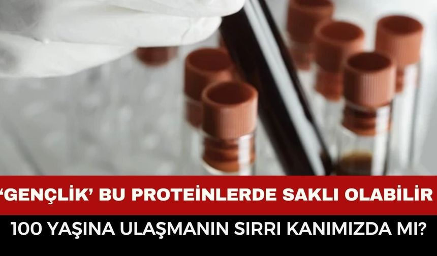 100 Yaşına Kadar Yaşamanın Sırrı Çözülüyor mu? Bilim İnsanları Kanda Dikkat Çeken Proteinleri Keşfetti