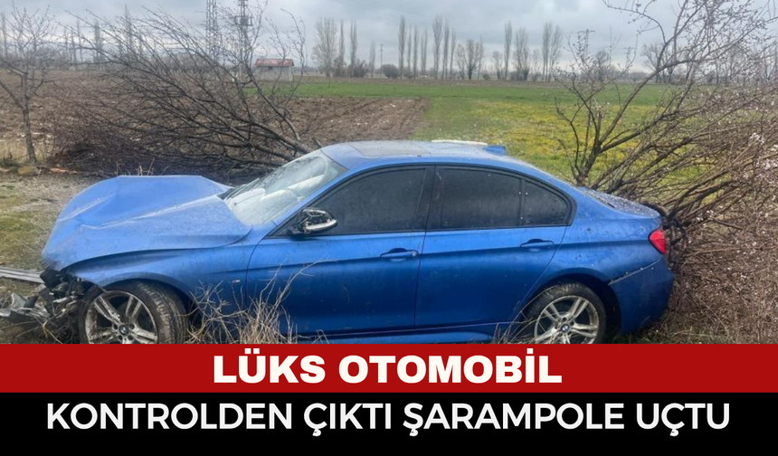 Direksiyon Hakimiyetini Kaybetti! Otomobil Şarampole Uçtu