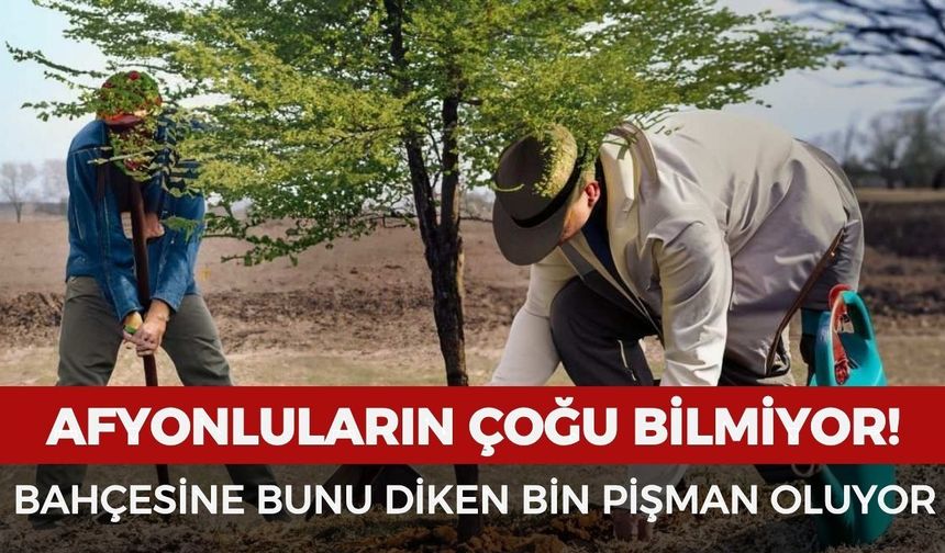 Afyon'da bahçesine bunu diken bin pişman oluyor