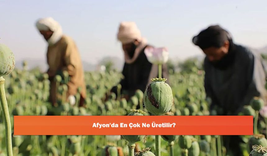 Afyon'da En Çok Ne Üretilir?