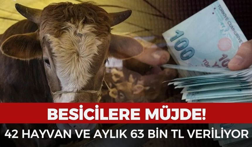 Besicilere müjde! 42 hayvan ve aylık 63 bin TL veriliyor