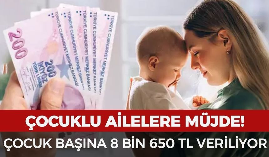 Çocuklu ailelere müjde! Çocuk başına 8 bin 650 TL veriliyor