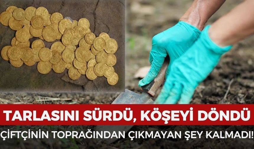 Tarlasını sürdü, köşeyi döndü! Çiftçinin toprağından çıkanlar servet değerinde