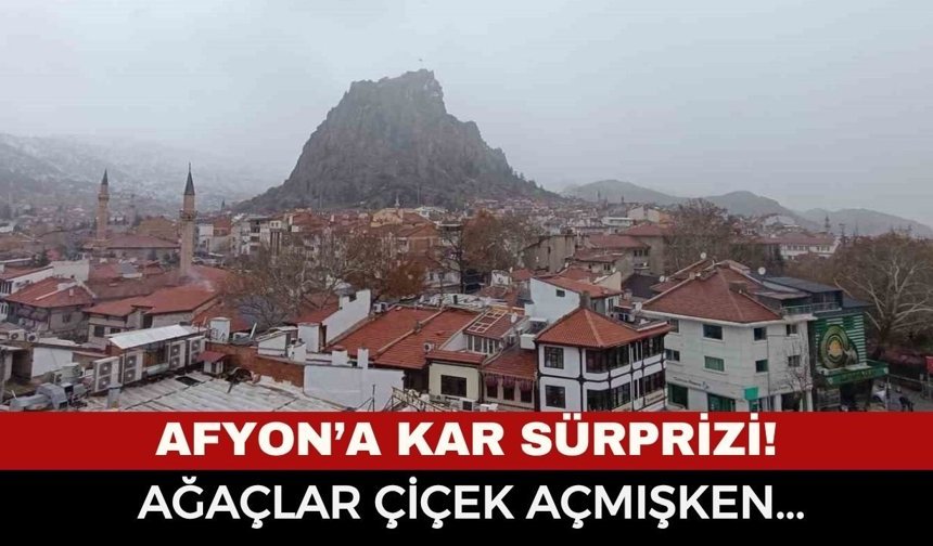 SON DAKİKA... AFYONKARAHİSAR’DA NİSAN KAR'I: ÇİÇEK AÇAN AĞAÇLARIN ÜZERİNE KAR YAĞDI!