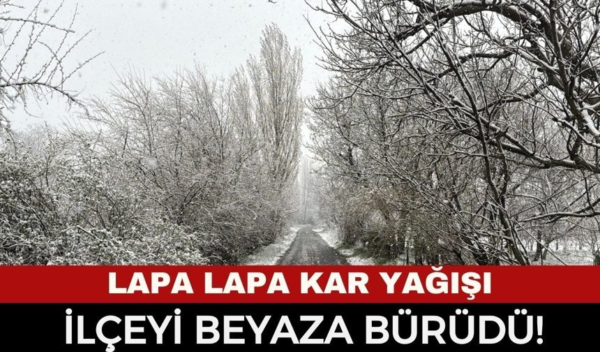 Afyonkarahisar'da Kış Geri Döndü: Lapa Lapa Kar Yağışı İlçeyi Beyaza Bürüdü!