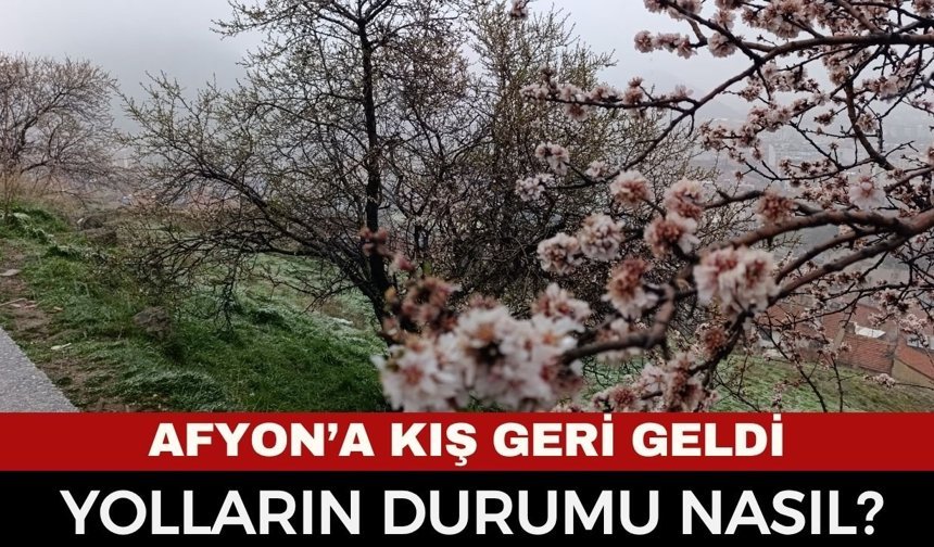 Hıdırlık ve Kent Ormanı Kar Altında: Afyon Merkezde Karla Karışık Yağmur Etkili, Yollarda Durum Nasıl?