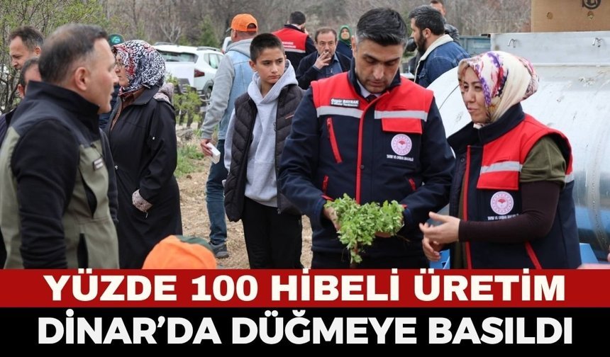 Kekik Üreticisine Tam Destek! Dinar’da "Sözleşmeli Tarım" Modeliyle İlk Fideler Toprakla Buluştu