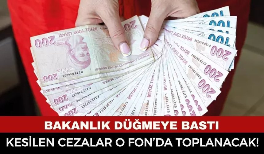 Bakanlık Düğmeye Bastı: Kesilen Cezalar O Fon’da Toplanacak! Dumansız Hava Sahası Genişliyor