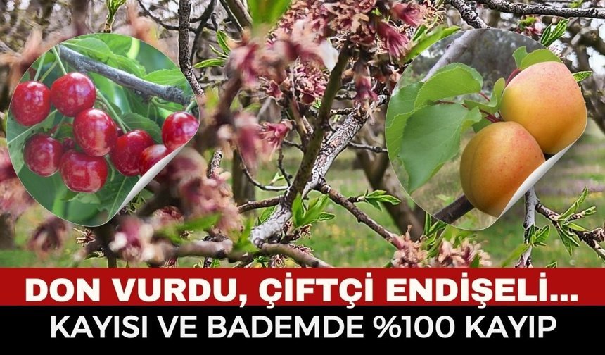 Afyonkarahisar’da Zirai Donun Acı Bilançosu: Kayısı ve Erikleri Don Vurdu, Kiraz Kurtuldu