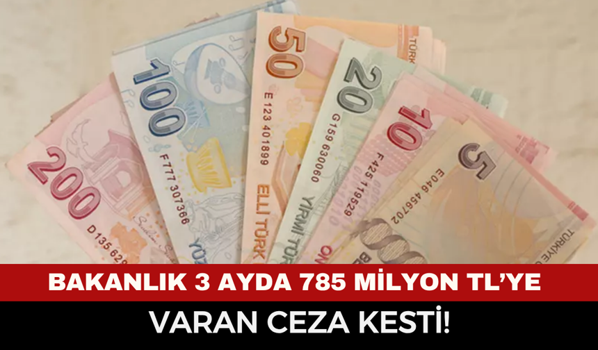 Bakanlık 3 Ayda 785 Milyon TL’ye Varan Ceza Kesti