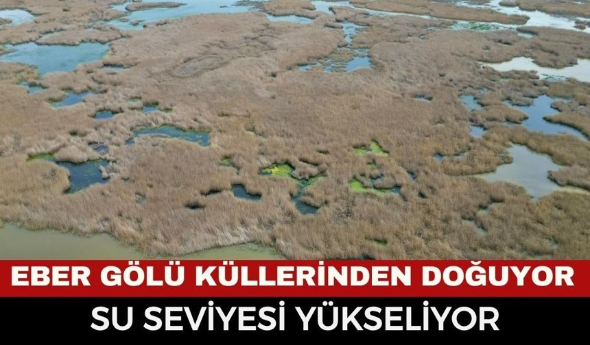 Eber Gölü’nde Umut Veren Görüntüler!