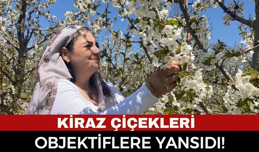 5. Kiraz Çiçeği Fotoğraf Etkinliği Yapıldı! Sultandağı’nda Görsel Şölen