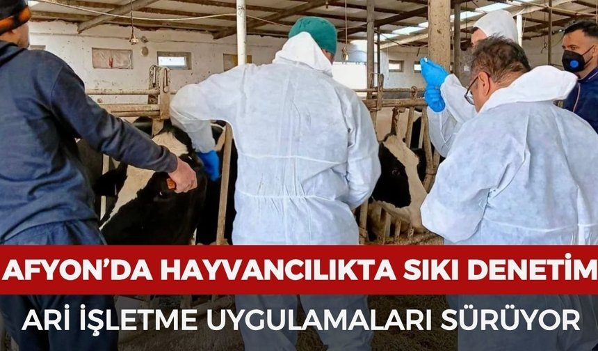 Afyon’da hayvancılıkta sıkı denetim: Ari işletme uygulamaları sürüyor