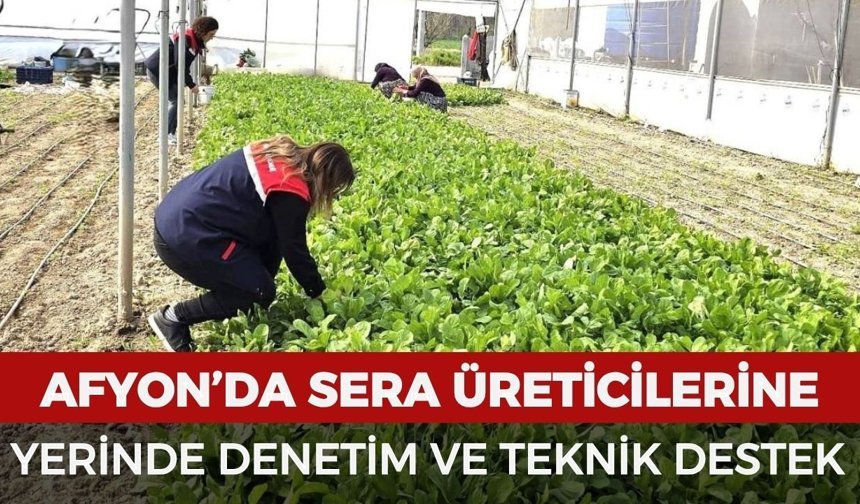 Afyon’da sera üreticilerine yerinde denetim ve teknik destek