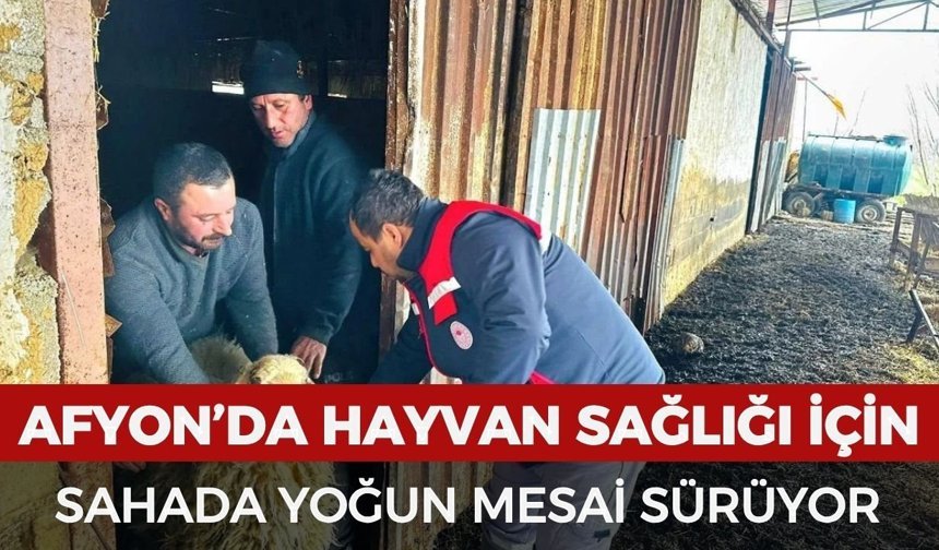 Afyonkarahisar’da hayvan sağlığı için sahada yoğun mesai