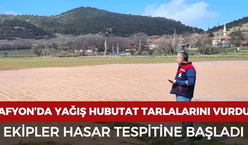 Afyonkarahisar’da yağış hububat tarlalarını vurdu: Ekipler hasar tespitine başladı