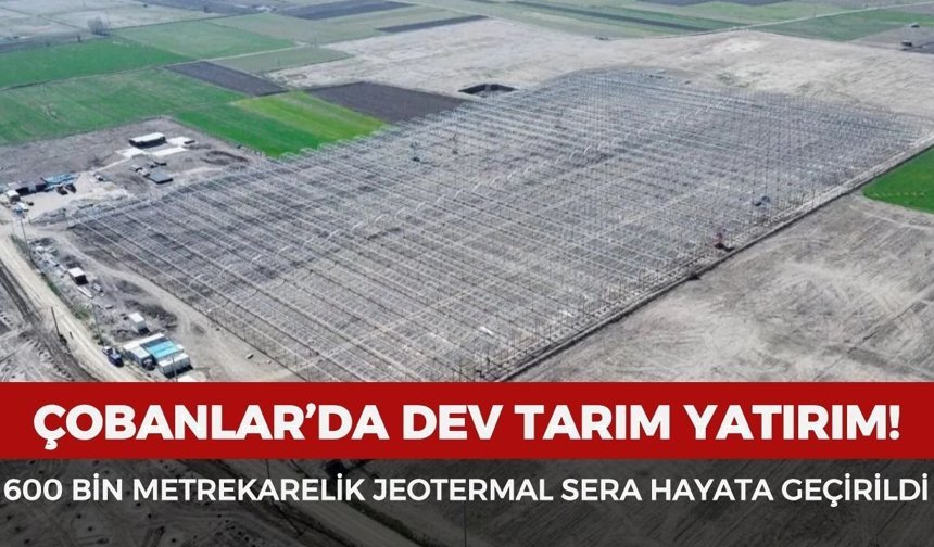 Çobanlar’da dev yatırım: 600 bin metrekarelik jeotermal sera hayata geçirildi