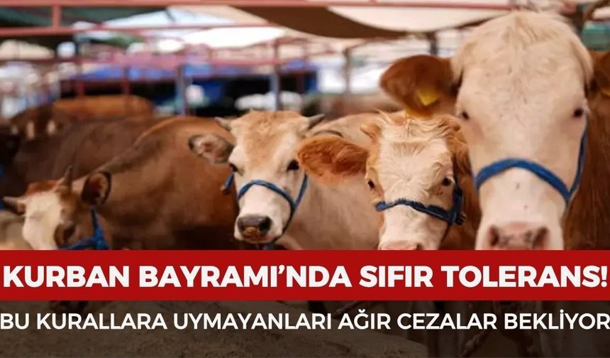 Kurban Bayramı’nda bunları yapanlar yandı! Cezalar rekor seviyeye çıktı