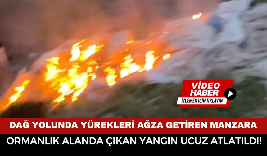 Dağ yolunda yürekleri ağza getiren manzara: Afyonkarahisar’da arkası ormanlık alanda çıkan yangın ucuz atlatıldı!