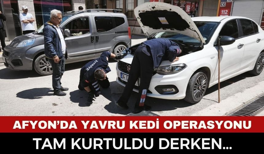 Afyon'da Heyecan Dolu Anlar! İnatçı Yavru Kediden İtfaiyecilere Sürpriz: İlk Araçtan Çıktı, İtfaiye Erinin Aracına Kaçtı