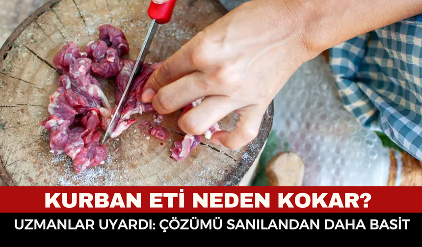 Kurban Eti Neden Kokar? Uzmanlar Uyardı: Çözümü Sanılandan Daha Basit