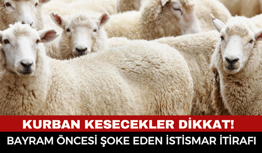 Kurban Kesecekler Dikkat! Bayram Öncesi Şoke Eden İstismar İtirafı