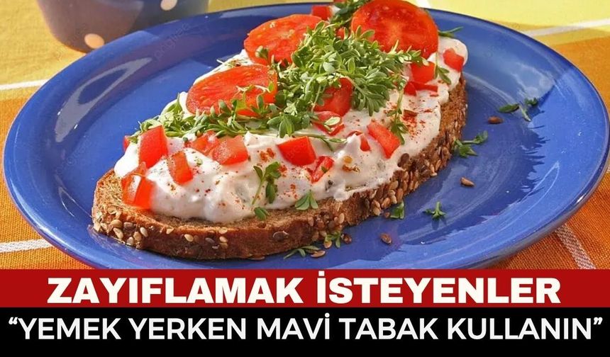 Mavi Tabak Mucizesi: Kalorileri %30 Azaltmanın Bilimsel Sırrı!