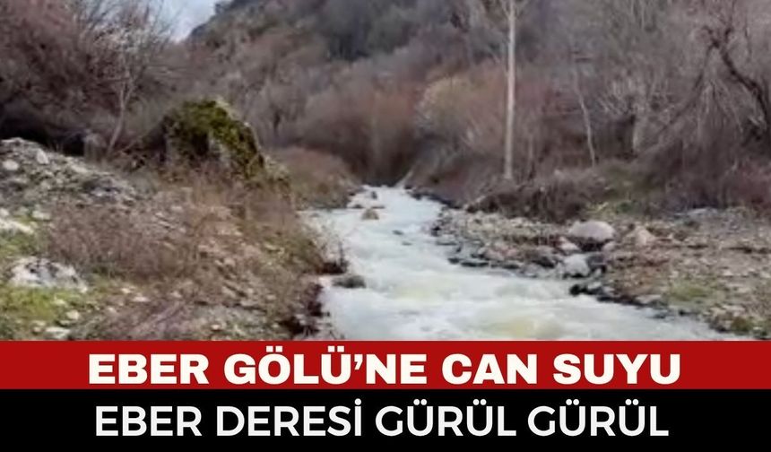 Kuraklıkla Boğuşan Eber Gölü’ne Müjde! Eber Deresi Coştu, Can Suyu Göle Doğru Yol Alıyor