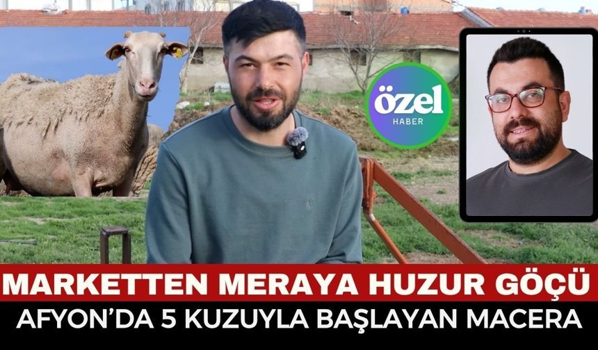 Afyon'da Genç Girişimcinin Başarı Hikayesi... Asgari Ücretli Çalışmaktansa, 5 Koyunla Kendi İşini Kurdu