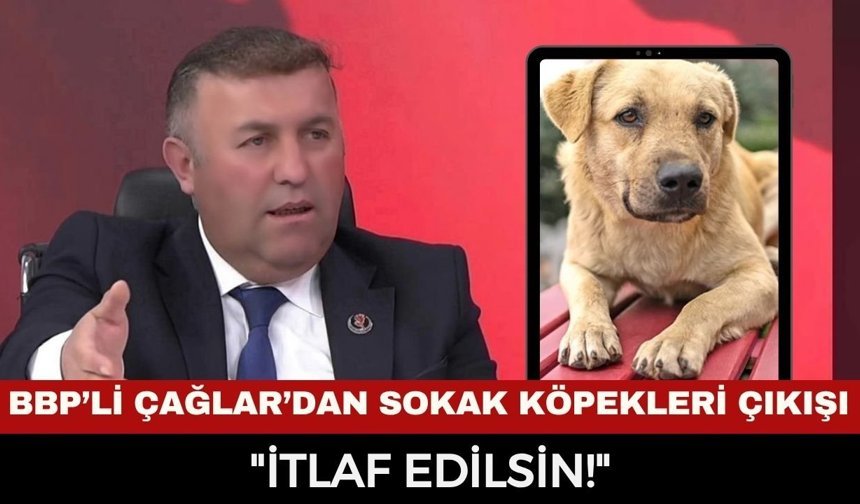 BBP İl Başkanı Süleyman Çağlar’dan "Sokak Köpeği" Çıkışı: "İtlaf Edilsin!"