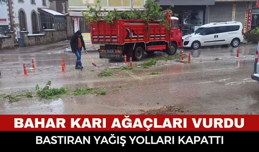 Bahar karı ağaçları vurdu: Gece bastıran yağış yolları kapattı