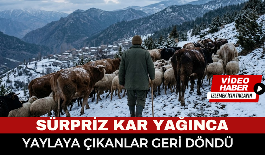 Afyonkarahisar’da sürpriz kar baskını: Üretici ve besiciler yayladan geri döndü
