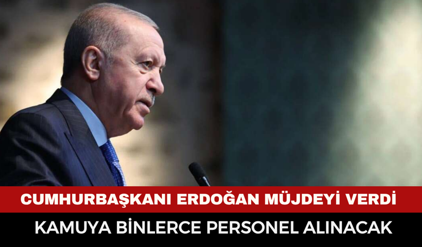 Kamuda Büyük İstihdam Hamlesi! 19.900 Personel Alımı İçin Düğmeye Basıldı: İşte Bakanlık Bakanlık Kadro Dağılımı