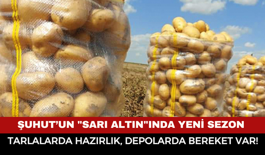 Şuhut’un "Sarı Altın"ında Yeni Sezon: Tarlalarda Hazırlık, Depolarda Bereket Var!