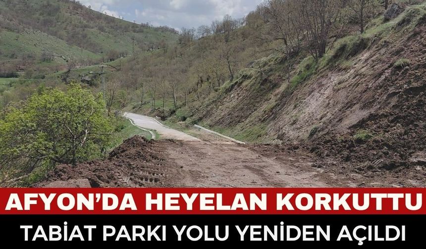 Yedikapı Tabiat Parkı yolunda son dakika: Ekipler seferber oldu, ulaşıma açıldı!