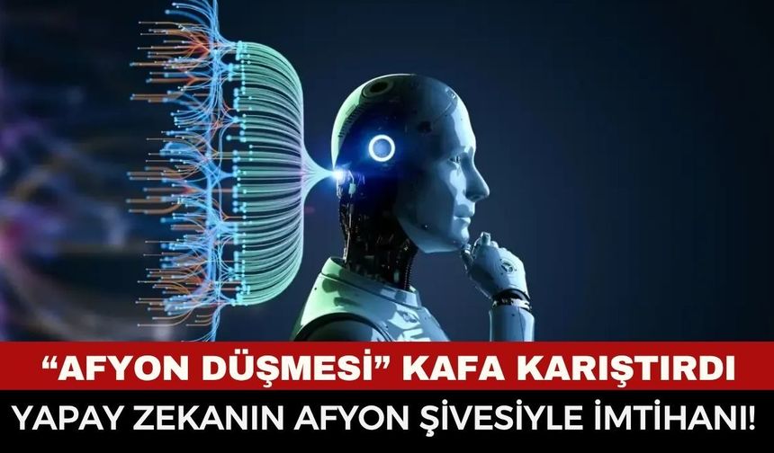 Yapay Zekanın Afyon Şivesiyle İmtihanı! "Yemek Yiyon" Dedi, Sistem Kilitlendi...