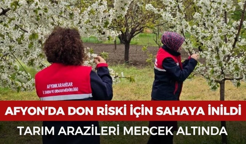 Afyon’da don riski için sahaya inildi: Tarım arazileri mercek altında