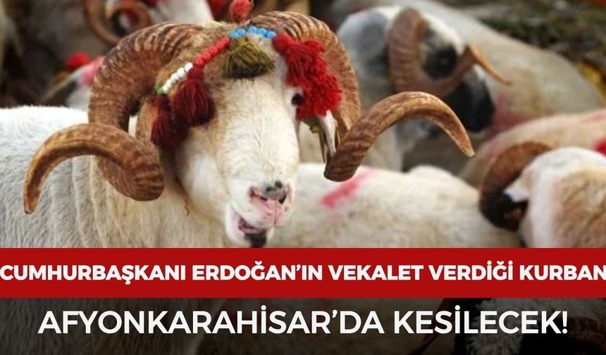 Cumhurbaşkanı Erdoğan’ın vekalet verdiği kurban Afyonkarahisar’da kesilecek