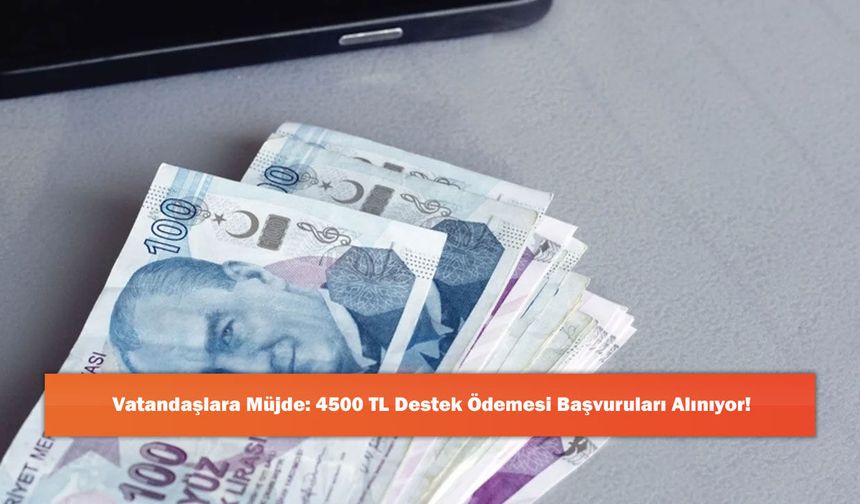 Vatandaşlara Müjde: 4500 TL Destek Ödemesi Başvuruları Alınıyor!
